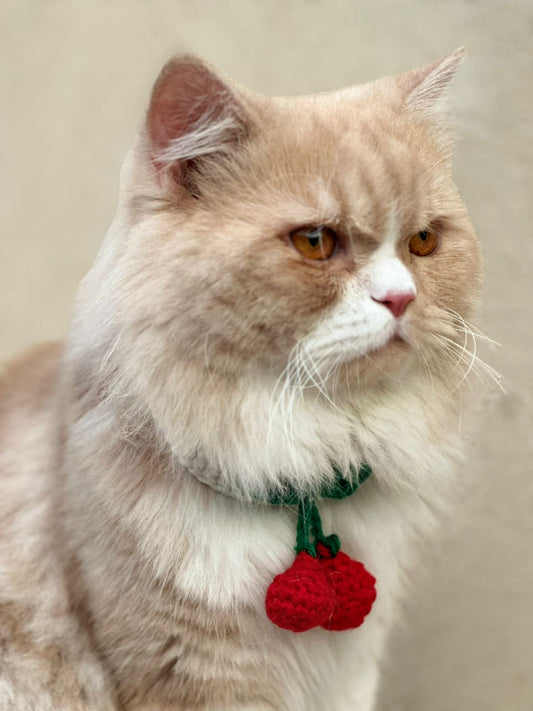 Small Cherry Collar