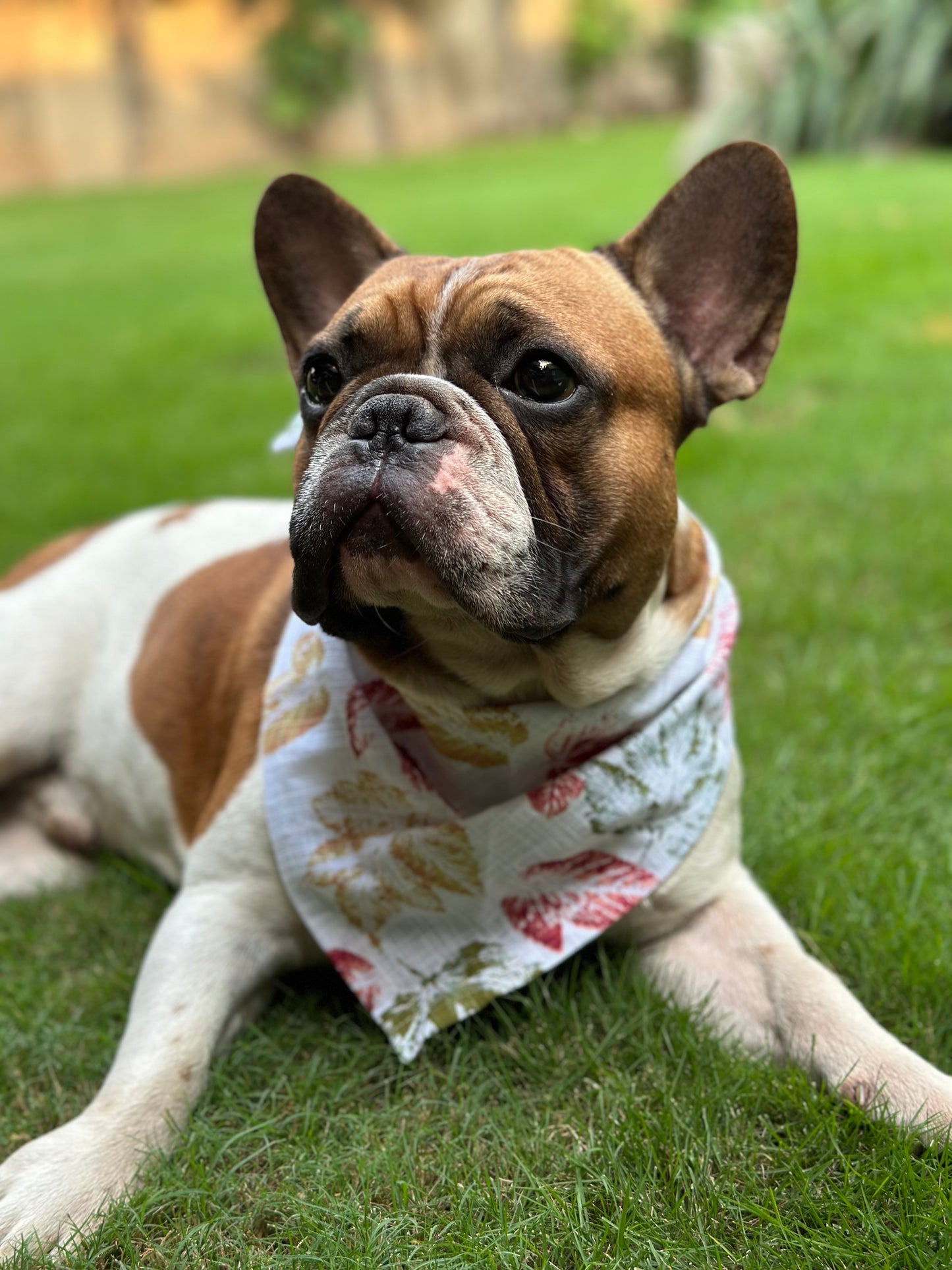 Autumn Bandana