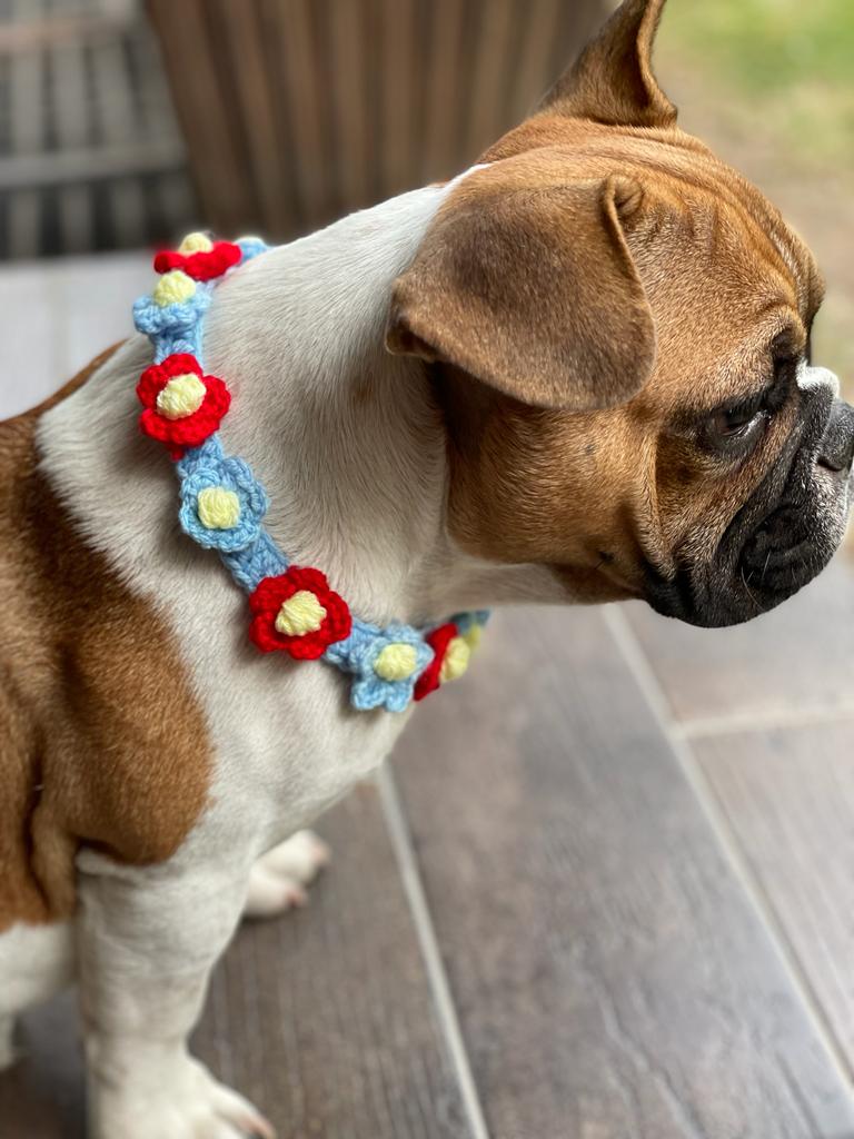 Petunia Collar