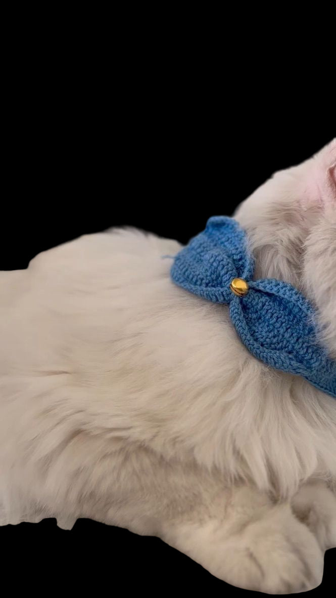 Bow Bell Collar