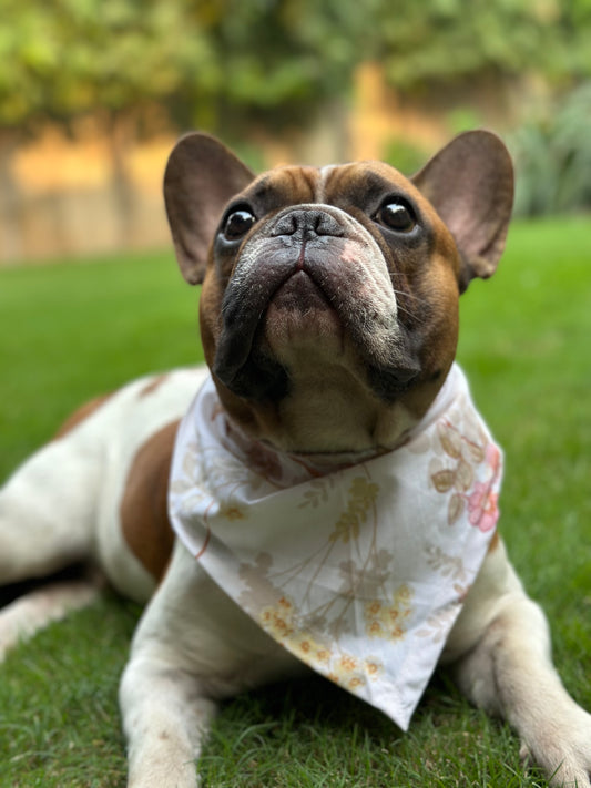 Cottage Core Bandana