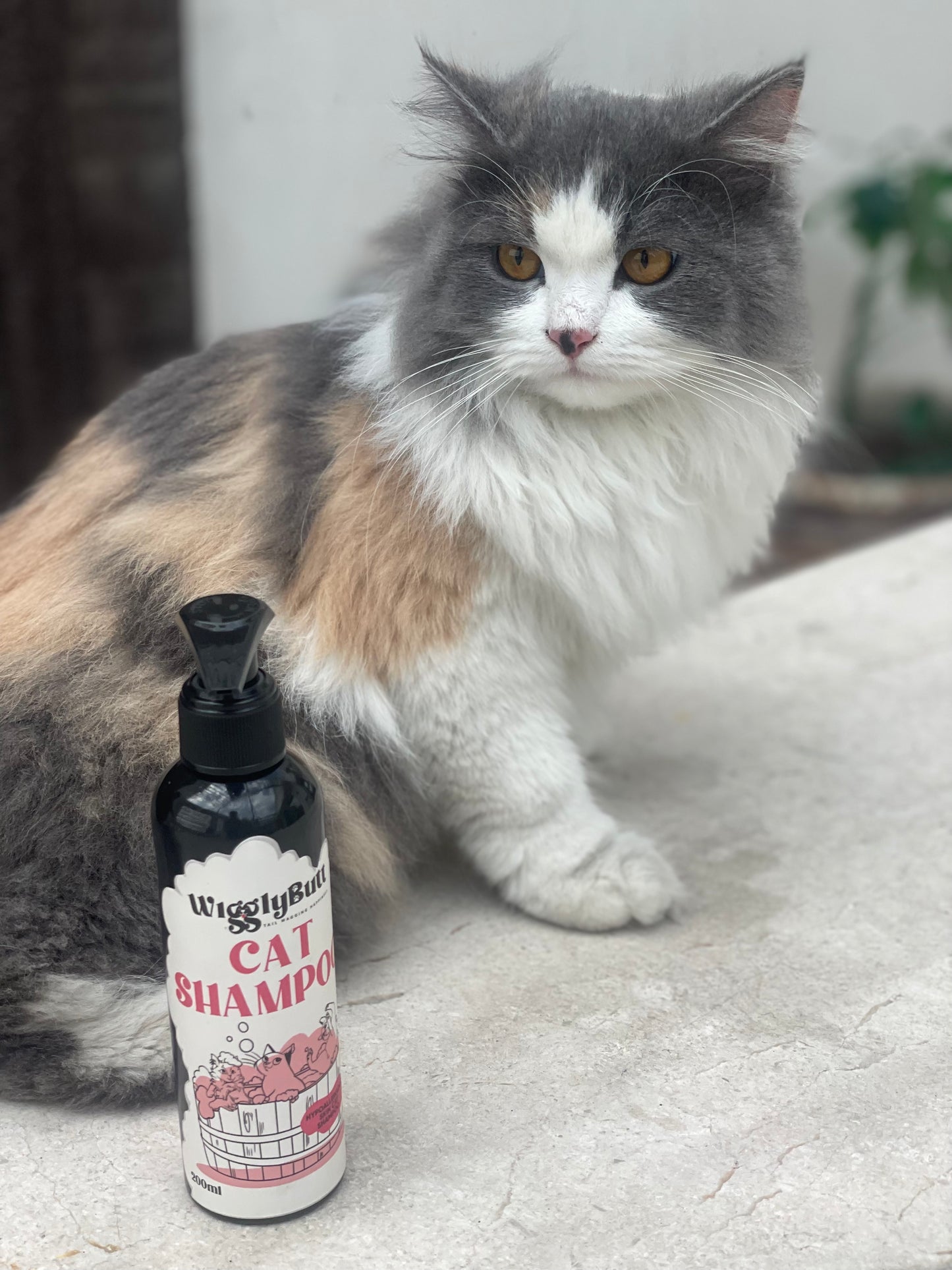 Hypo-Allergenic Cat Shampoo