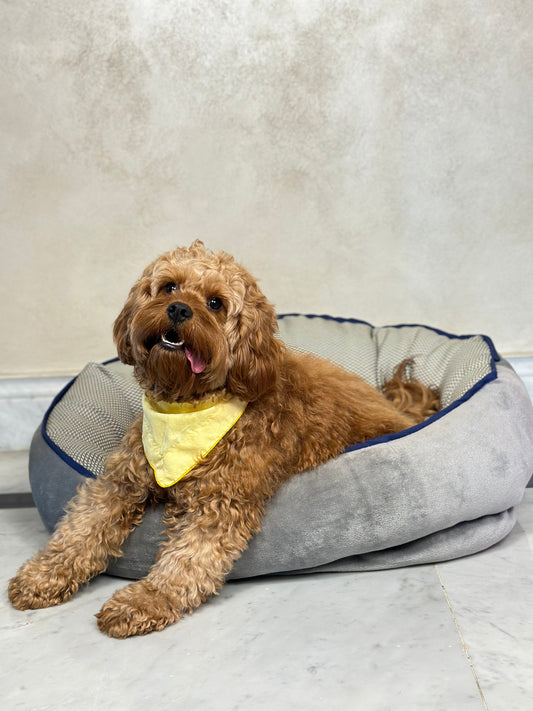 Criss Cross  Pet Bed