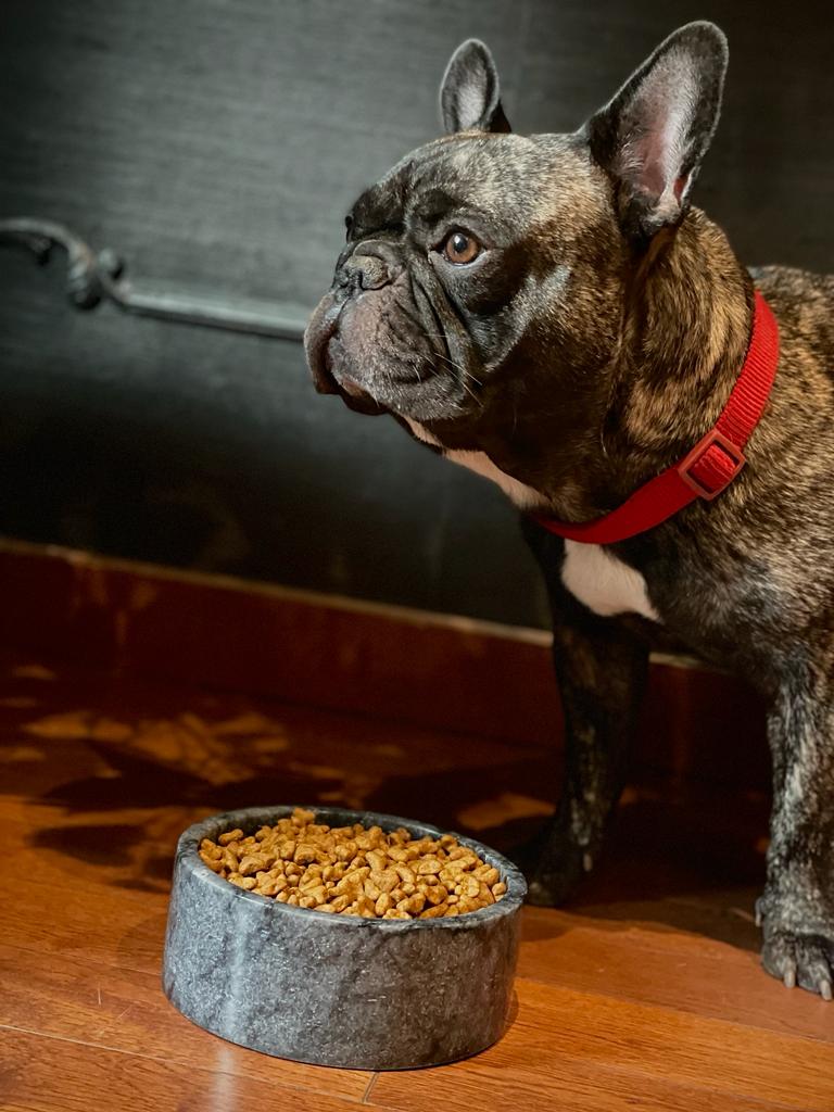 Large Marble Feeding Bowl