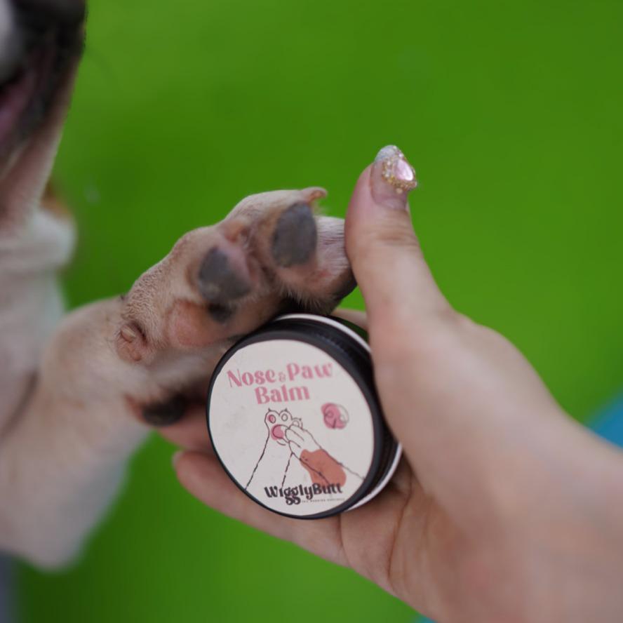 Paw balm for pets -  Premium Pet Product - Made in Pakistan