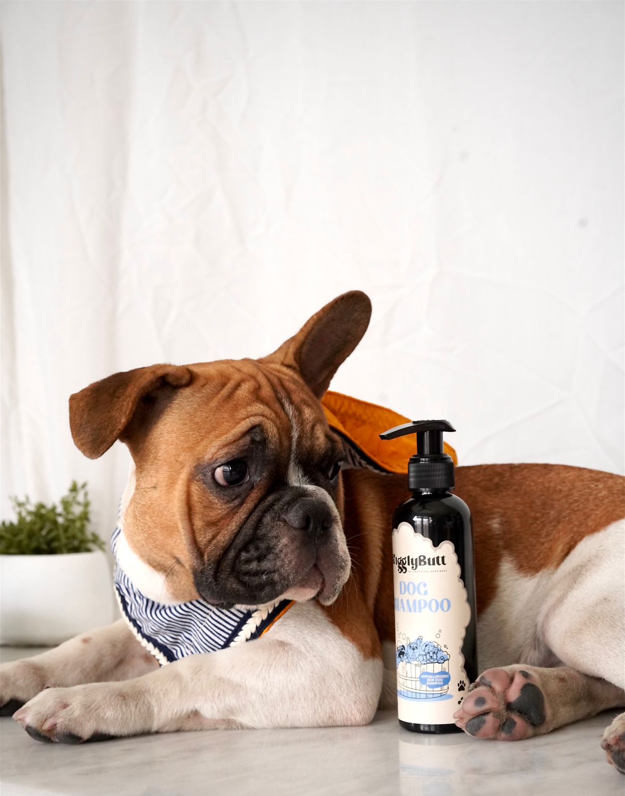 Kiehl's cuddly coat grooming fashion shampoo